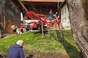 Workshop Altbirnbaum-Schnitt, 23.03.2026, Anthering, Salzburg